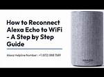 How Do I Reconnect My Alexa to a New Wi-Fi?