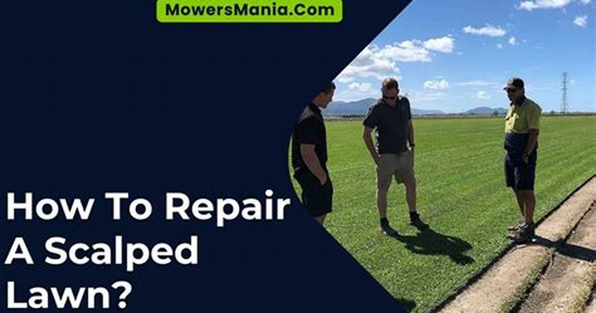 How Do I Repair My Lawn After Killing Weeds?