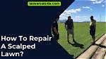 How Do I Repair My Lawn After Killing Weeds?