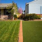 How Do I Separate My Neighbors Lawn from the Front?