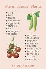 How Do Plants Tell the Season?