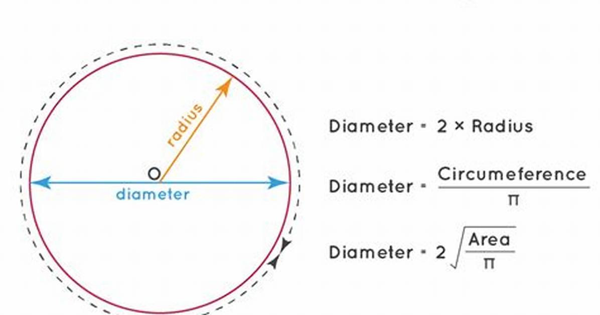 How Do You Calculate the Diameter of an Oak Tree?