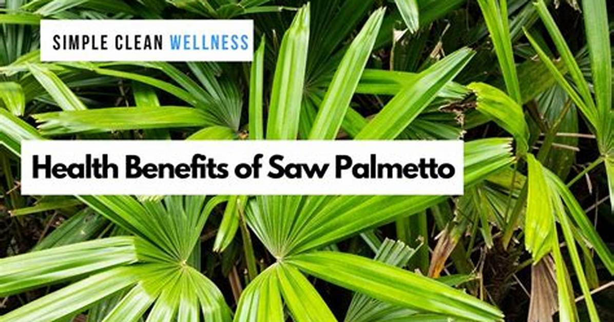 How Do You Care for New Palmetto Sod?