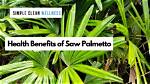 How Do You Care for New Palmetto Sod?