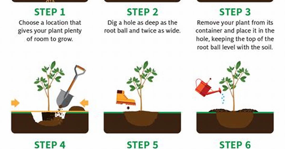 How Do You Clear a Planting Area?
