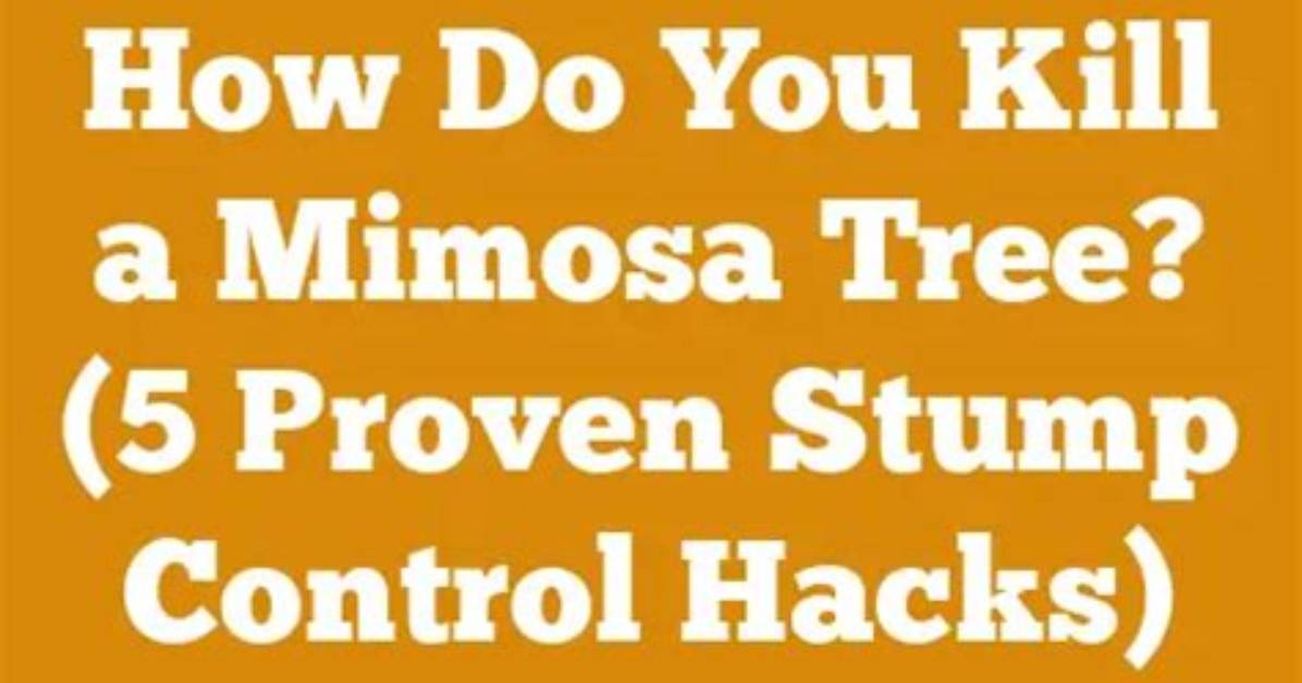 How Do You Control a Mimosa?