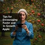 How Do You Encourage Fruit to Grow?