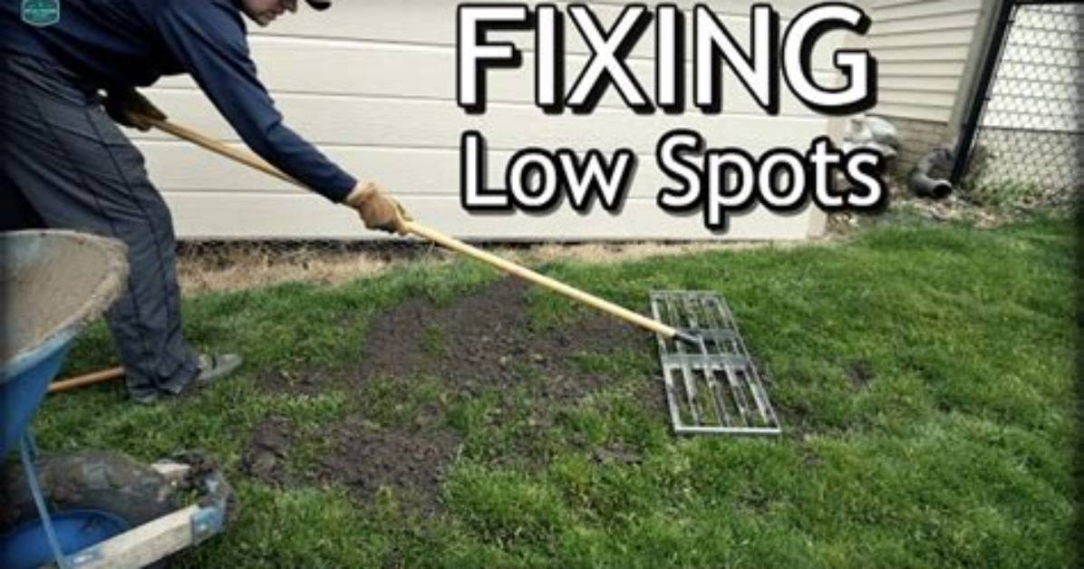 How Do You Fill in Low Spots in Your Yard?