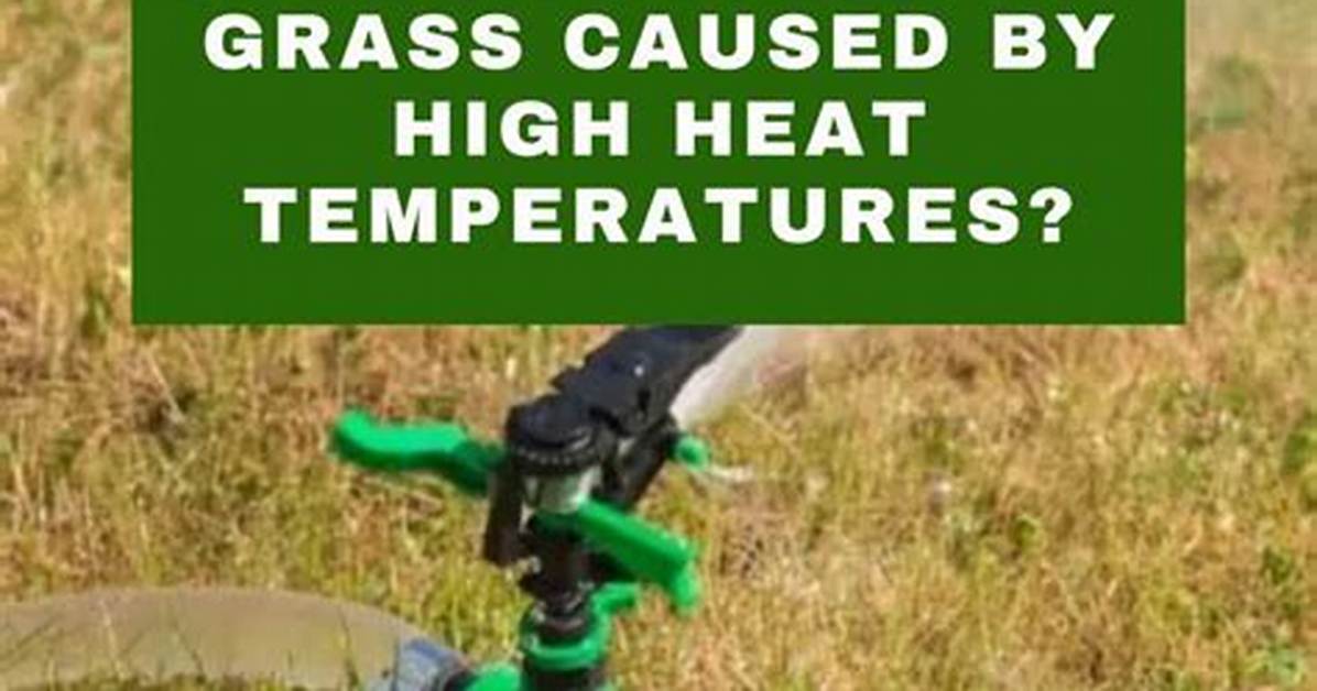 How Do You Fix Grass Burns from Dog Urine?