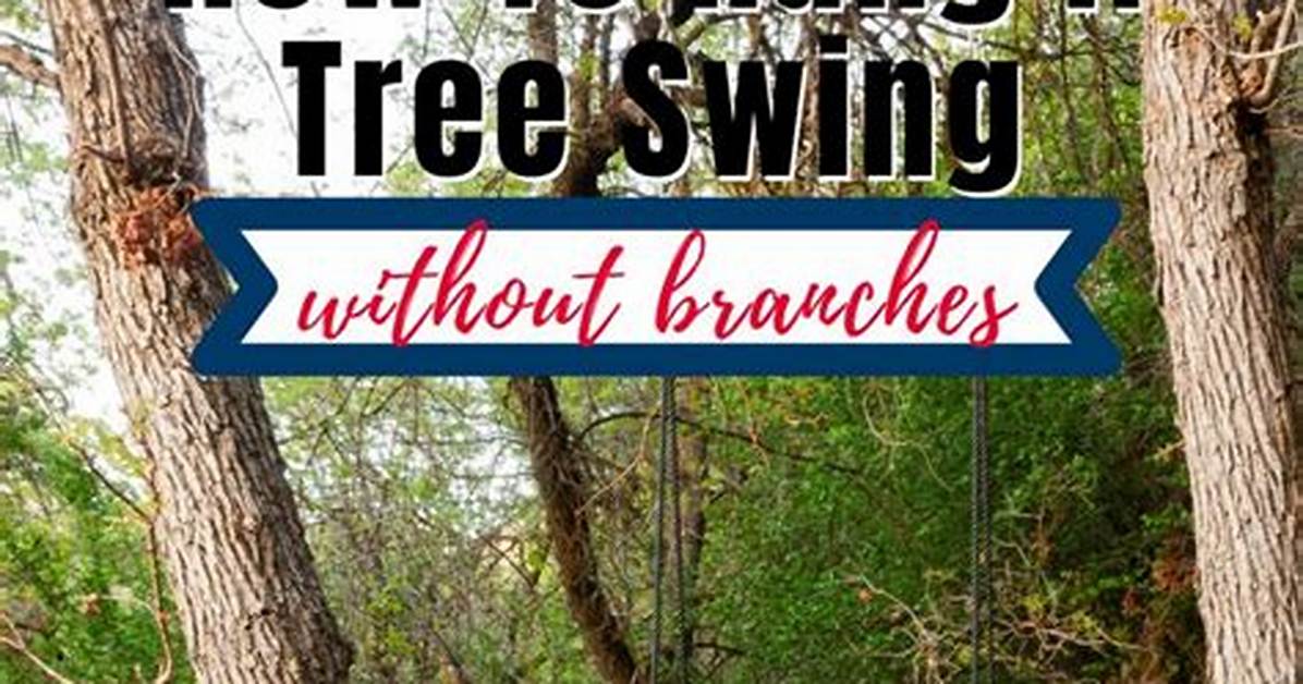 How Do You Hang a Tree Swing with Eye Bolts?