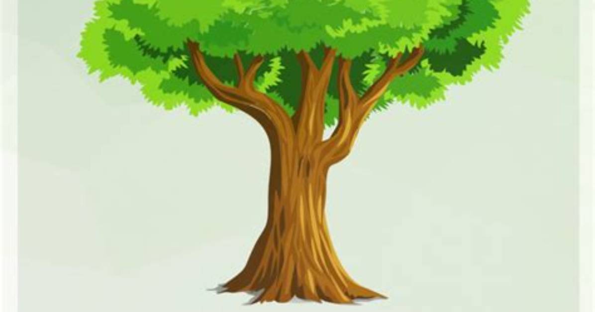 How Do You Help an Unhealthy Tree?