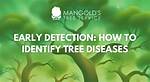 How Do You Identify a Disease Tree?