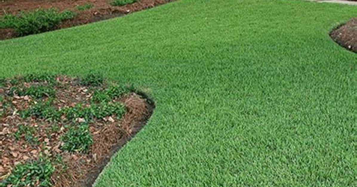How Do You Keep Zoysia Grass from Spreading?