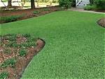 How Do You Keep Zoysia Grass from Spreading?
