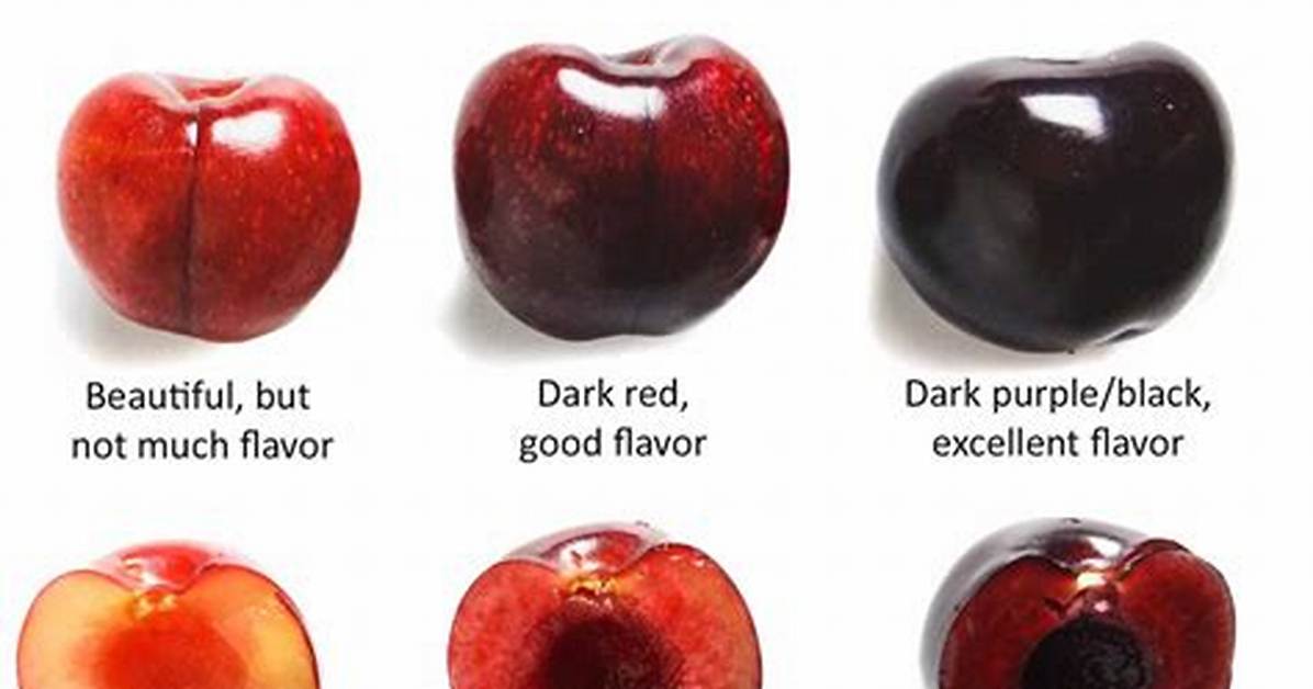 How Do You Know If a Cherry Tree Is Healthy?