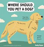 How Do You Know When Your Dog Is Declining?