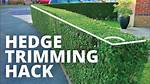 How Do You Remove Scale from Hedges?