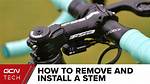 How Do You Remove the Stem from a Mulberry?