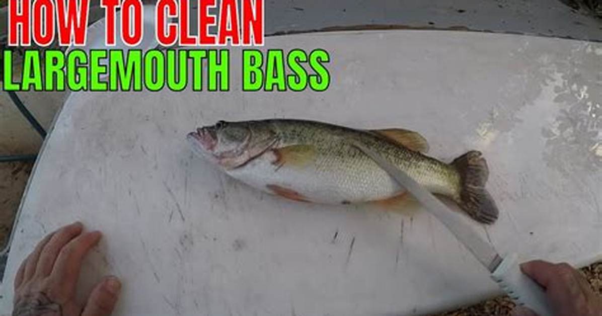 How Do You Reset the Bass on a Bose Solo 5?