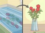 How Do You Revive Roses in the Spring?