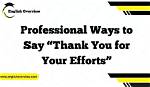 How Do You Say Thanks for Efforts?