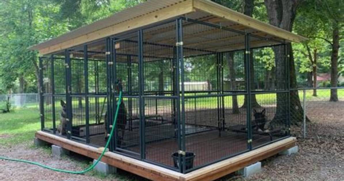 How Do You Set up a Kennel?