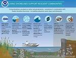 How Do You Stop a Shoreline from Eroding?