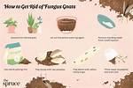 How Do You Stop Fungus from Growing in Your Body?