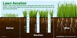 How Late Can You Aerate a Lawn?