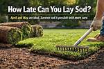 How Late Can You Plant Sod in Illinois?