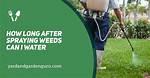 How Long After Spraying Can I Fertilize?