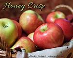 How Long Are Honeycrisp Apples Good for?