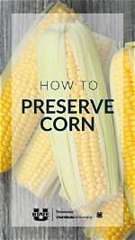 How Long Can We Preserve Fresh Cream?
