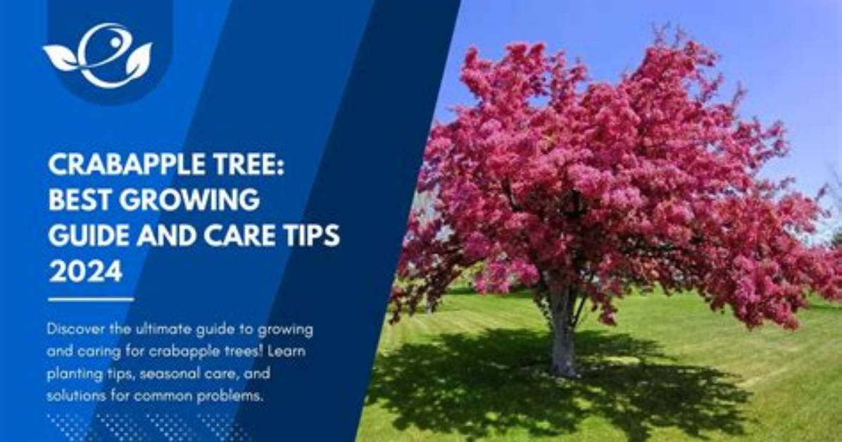How Long Does It Take a Crabapple Tree to Grow?