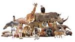 How Many Animals Are in a 20 Acre Farm?
