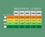 How Many Lumens Is a 10 Watt Halogen Bulb?