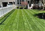 How Much Does Fescue and Sons Yard Care Make?
