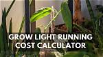How Much Does It Cost to Grow a 45 Gallon Tree?