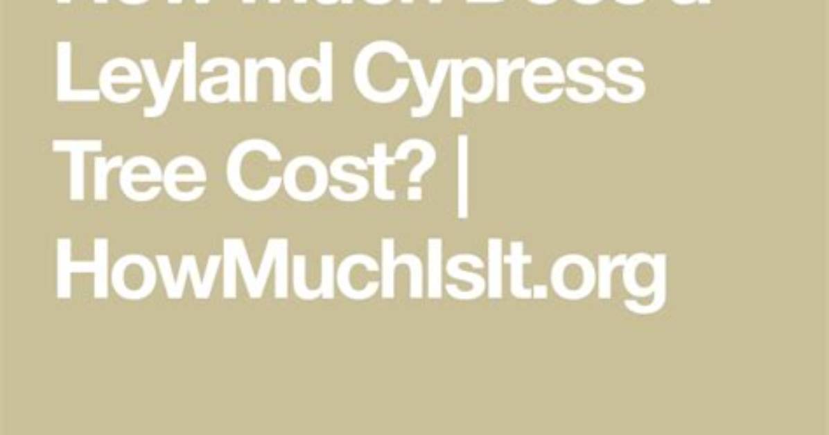 How Much Does Leyland Cypress Trees Cost?