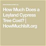 How Much Does Leyland Cypress Trees Cost?