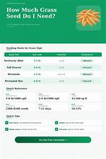 How Much Grass Seed Do I Need for 1000 Square Feet?