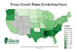 How Much Is Cottonwood Trees Worth?