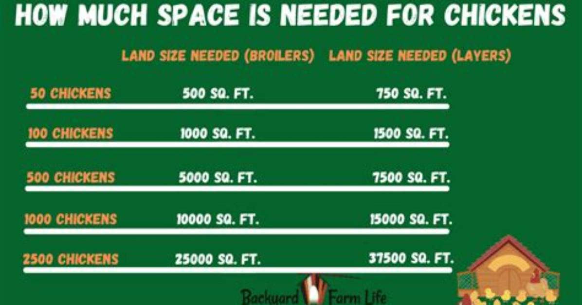 How Much Space Is Needed for a Coal Power Plant?