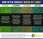 How Often Should I Water My Lawn in Sacramento?