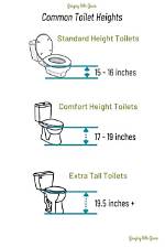 How Tall Are Average Toilets?