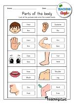 How to Identify the Parts of a Book?