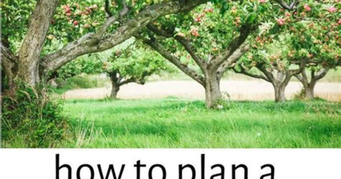 How to Plant Your Orchard to Have Fruits All Year Round?