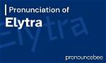 How to Pronounce Elytra