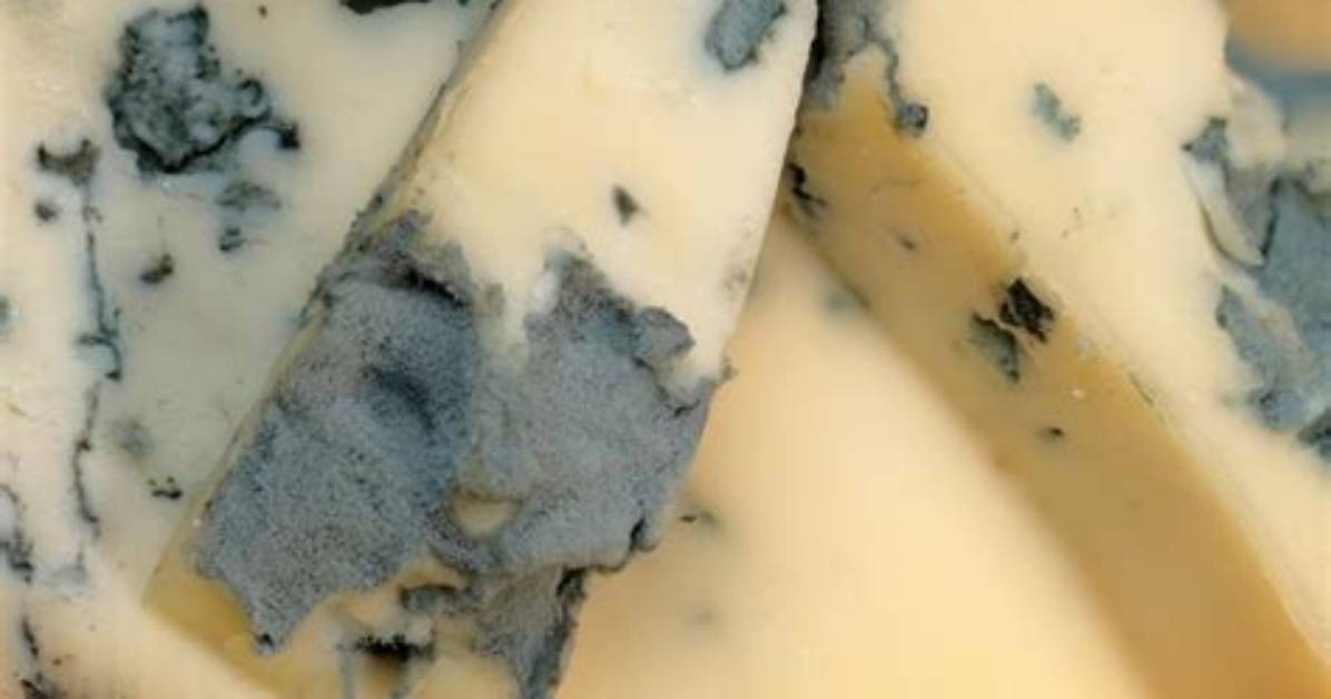 Is Blue Cheese Mold Alive?