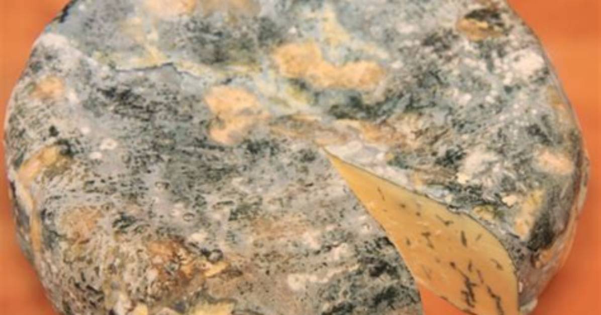 Is Blue Vein Cheese Mouldy?